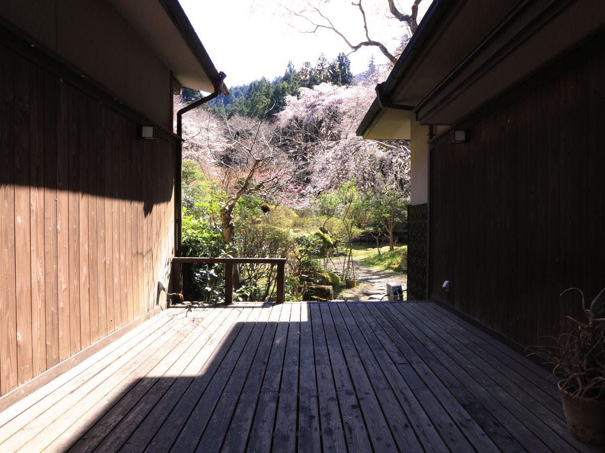 Yoshino Onsen Motoyu