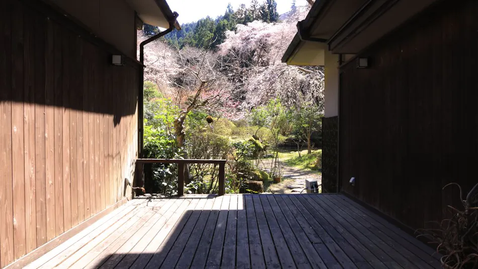 Yoshino Onsen Motoyu