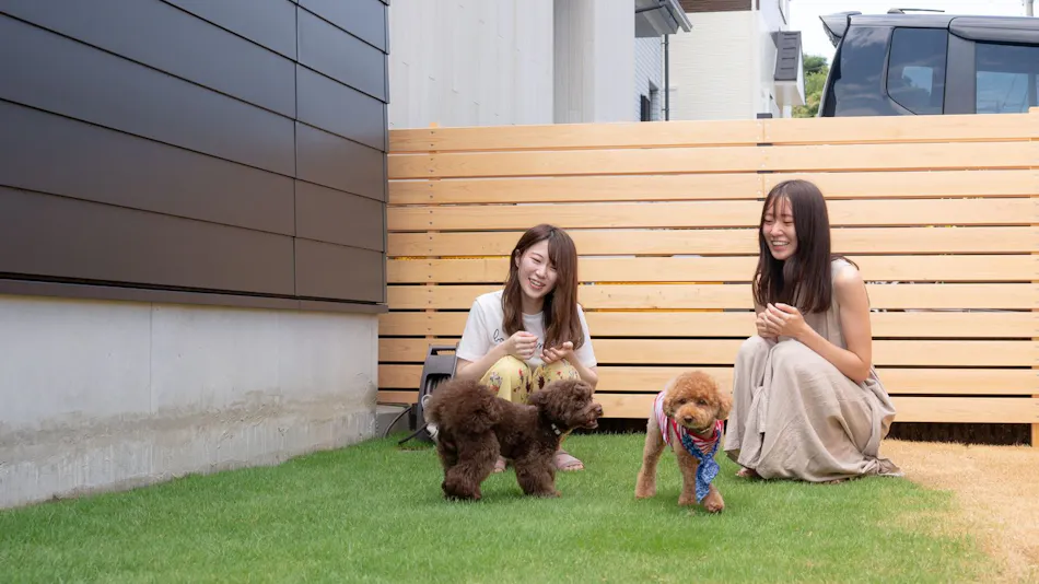 Awaji Island C-Side | Sky Arena