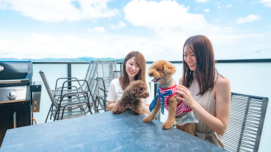 Awaji Island C-Side | Sky Arena