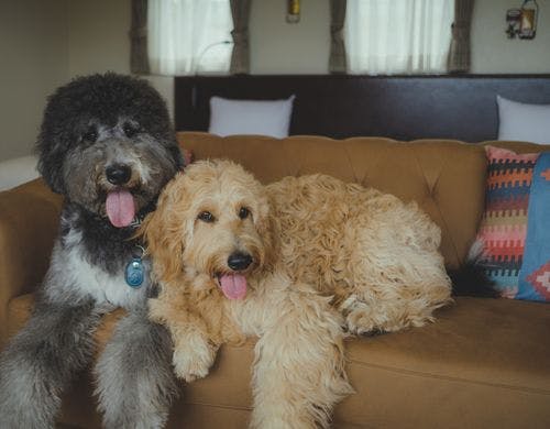 スイートヴィラ（寝室・リビング・デッキ）