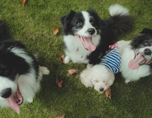 スタンダードヴィラ（リビング）