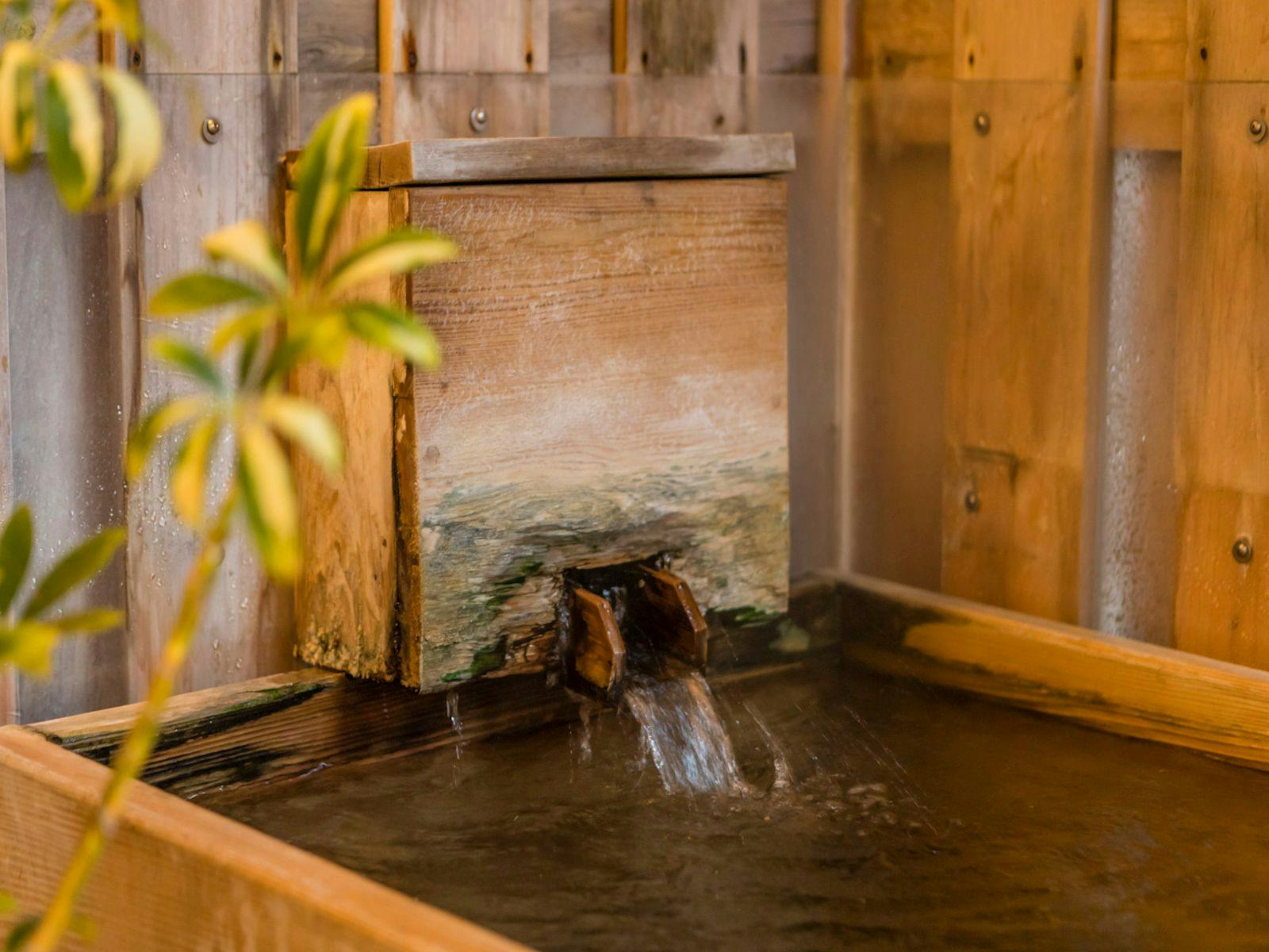 Izu Atagawa Onsen Miharuya