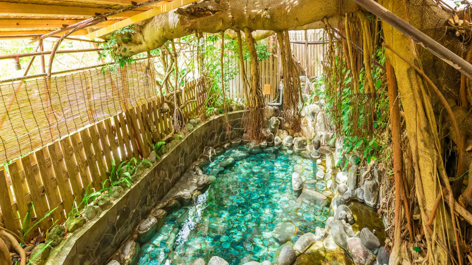 Izu Atagawa Onsen Miharuya