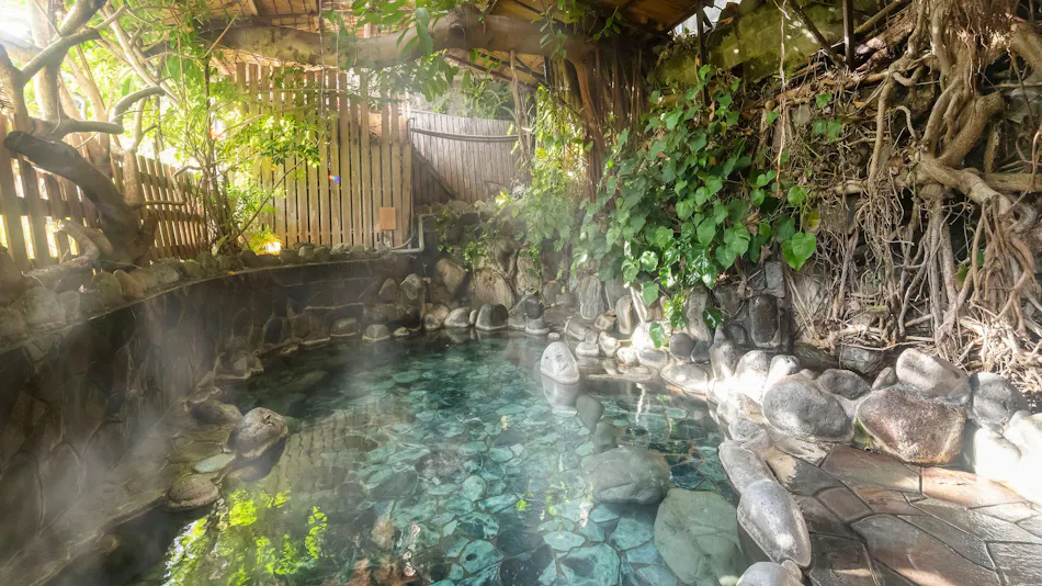 Izu Atagawa Onsen Miharuya