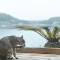 *【อื่นๆ】ผ่อนคลายในบรรยากาศของอิกิ.