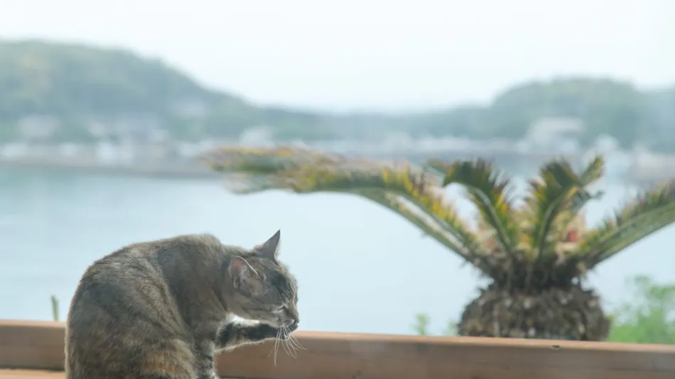 Seaside Inn Hakuou