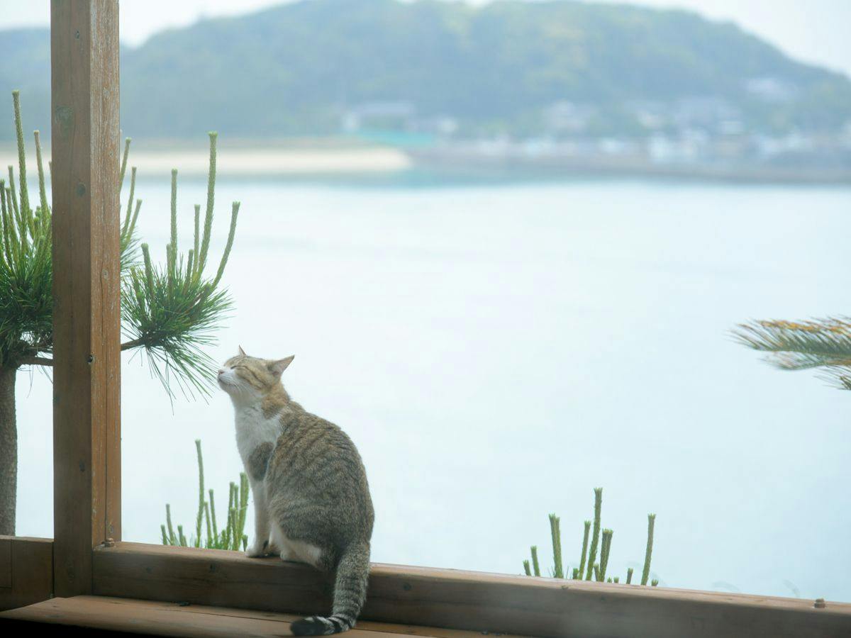 Seaside Inn Hakuou