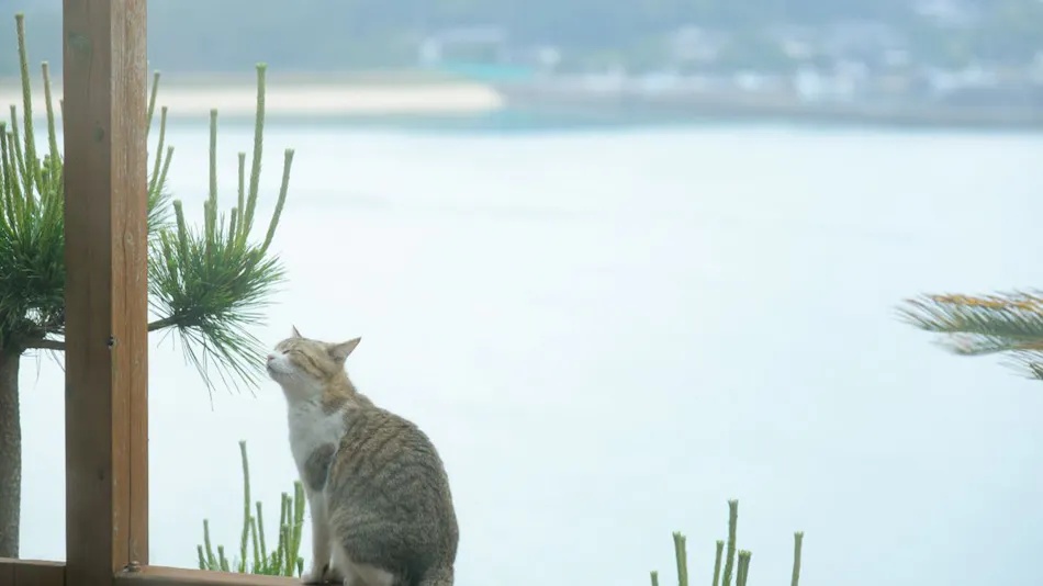 Seaside Inn Hakuou