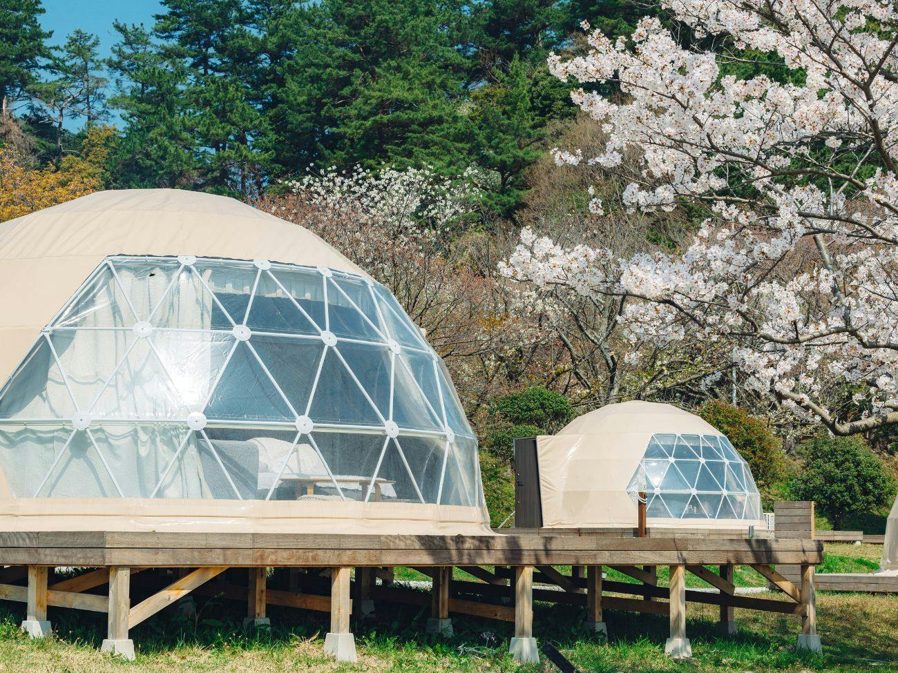 Island Glamping Earth Stay Aoshima