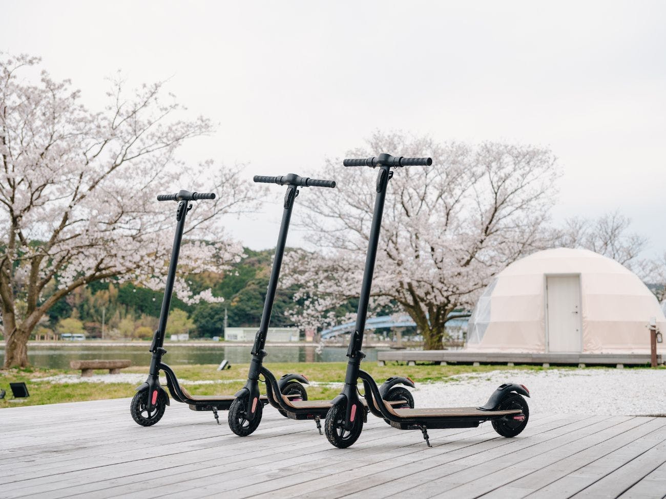 สกู๊ตเตอร์ไฟฟ้าให้ยืมฟรี