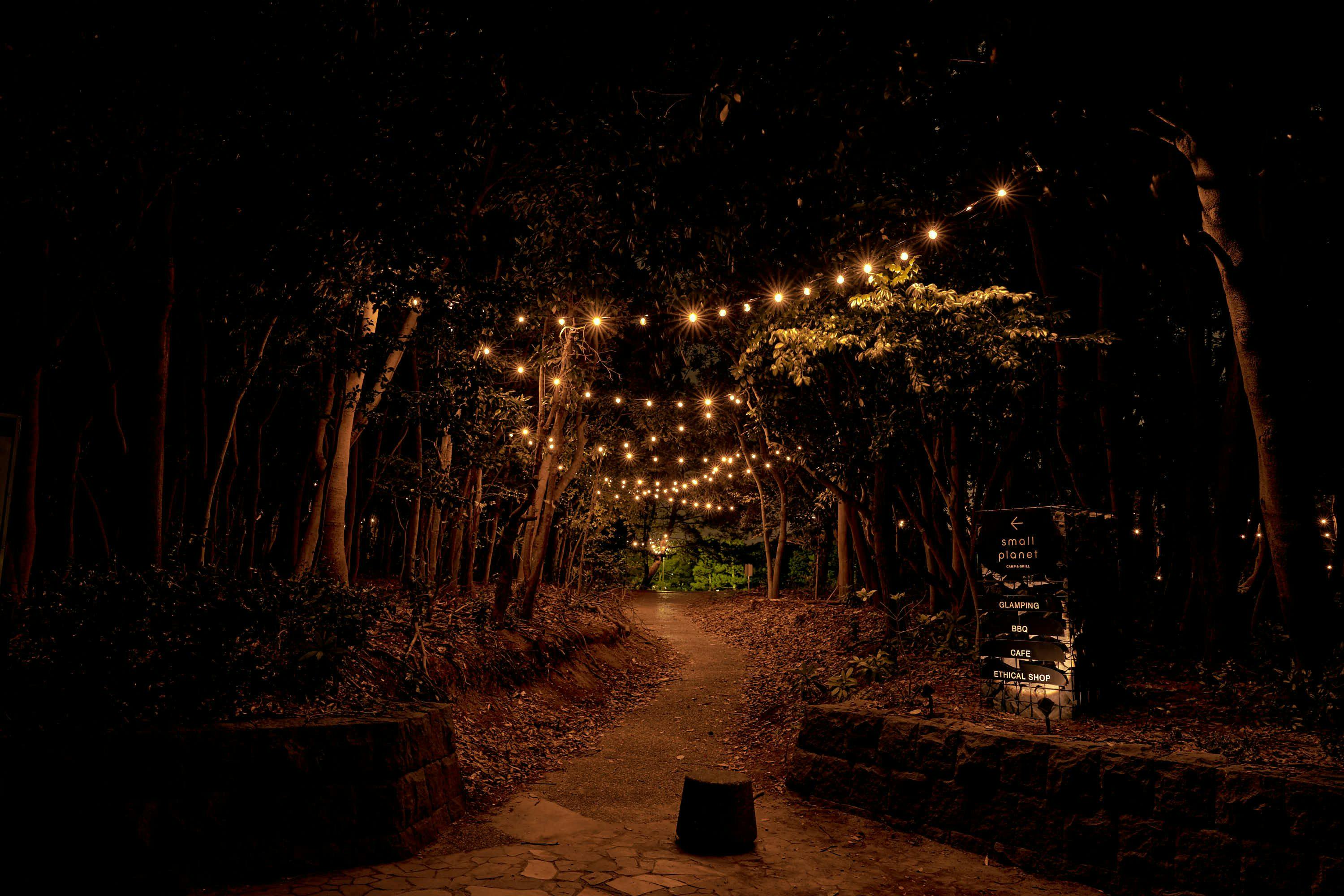 small planet CAMP & GRILL