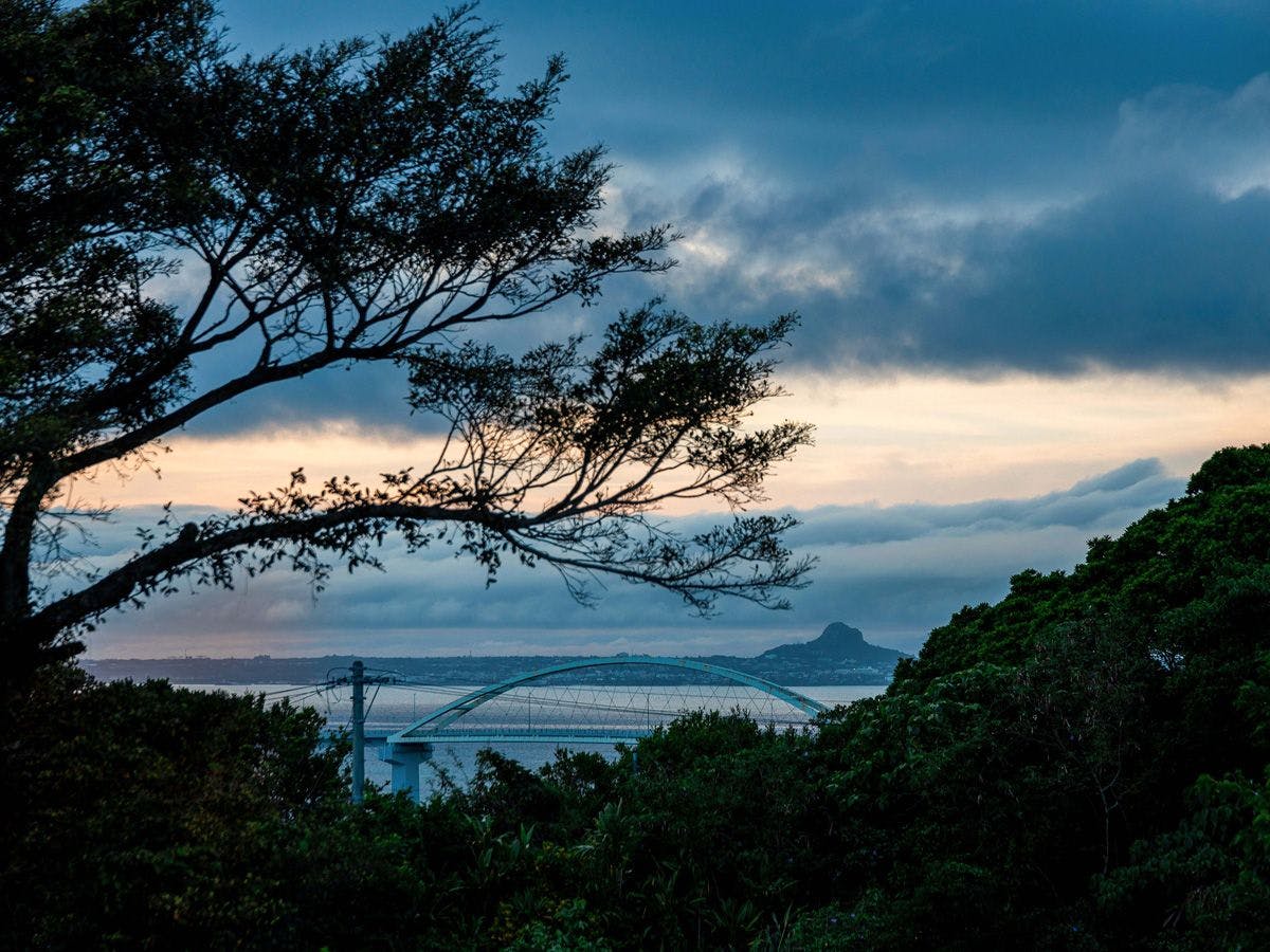 Cy MOTOBU