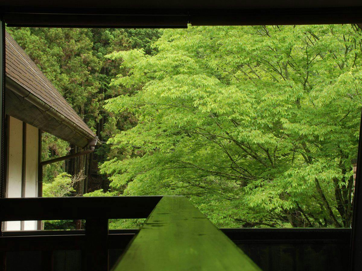 Hotel Rindou in the Fragrant Forest