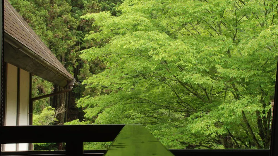 Hotel Rindou in the Fragrant Forest