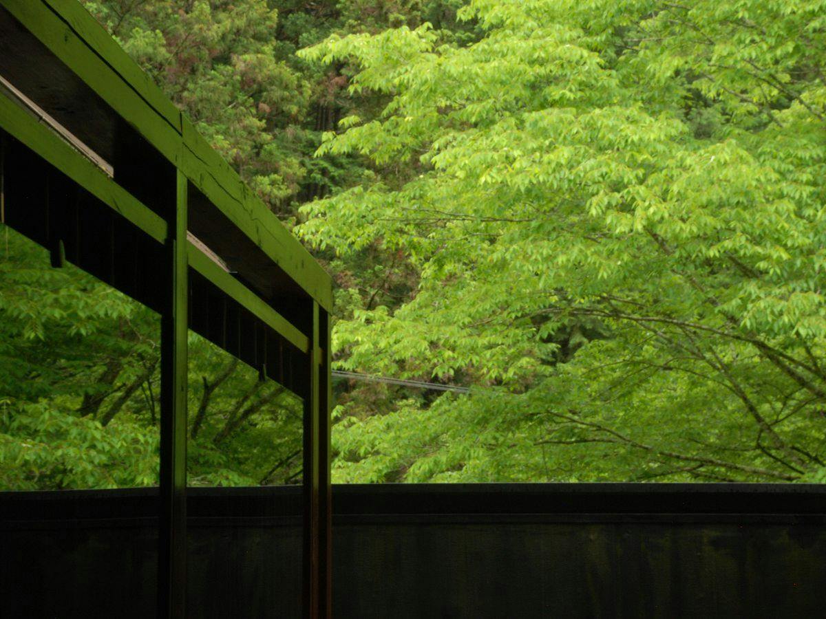 Hotel Rindou in the Fragrant Forest