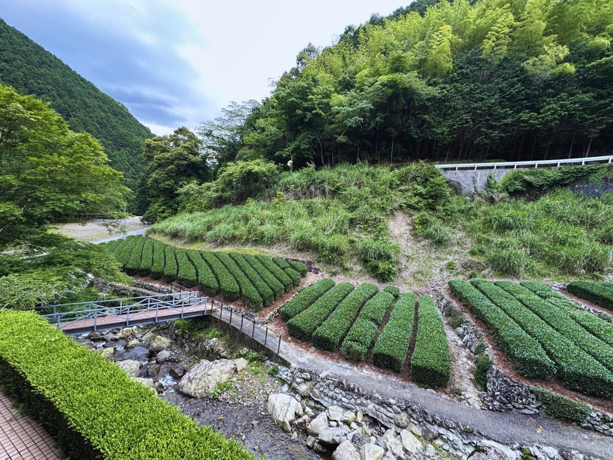 Hotel Rindou in the Fragrant Forest