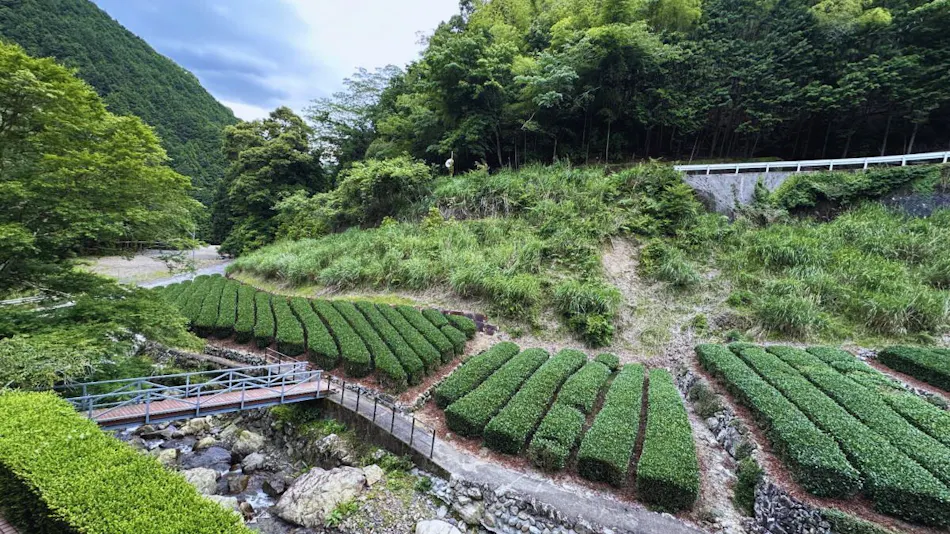 Hotel Rindou in the Fragrant Forest