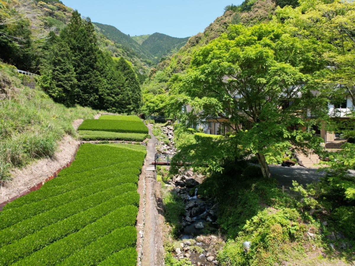 Hotel Rindou in the Fragrant Forest