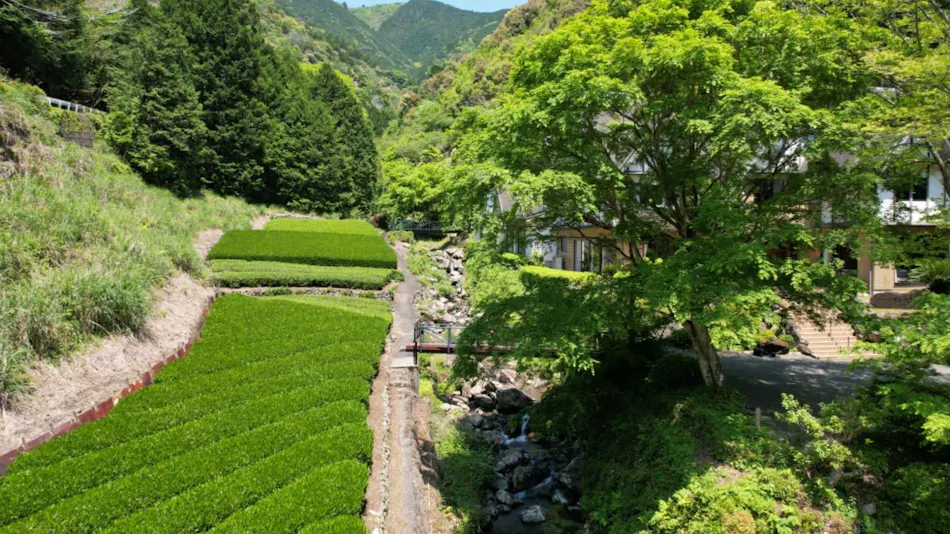 Hotel Rindou in the Fragrant Forest