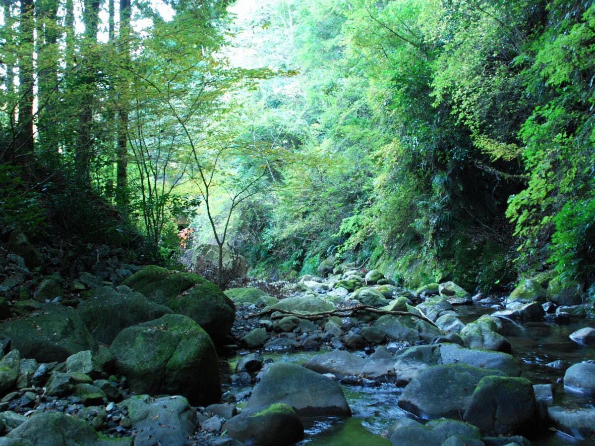 Hotel Rindou in the Fragrant Forest