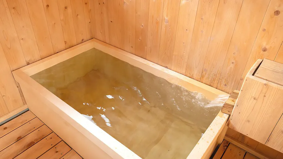 Sonogicha onsen Villa Sonogi