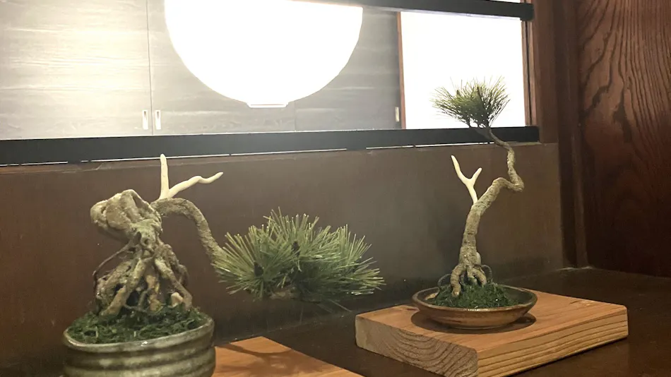 Hakone Yumoto Onsen Ryokan Yamato-kan