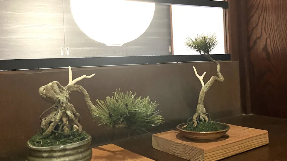 Hakone Yumoto Onsen Ryokan Yamato-kan