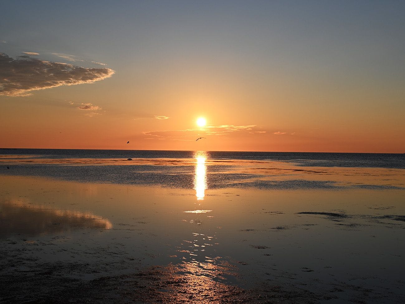 พระอาทิตย์ตก│ความหรูหราของความว่างเปล่าที่ Rumoi