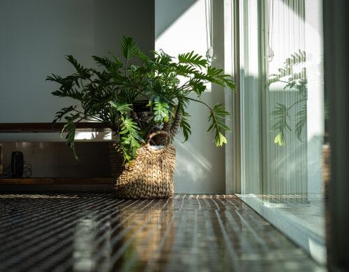 お洒落な空間にお洒落なプランター