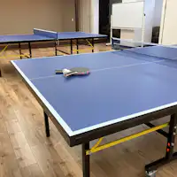 สนามปิงปอง