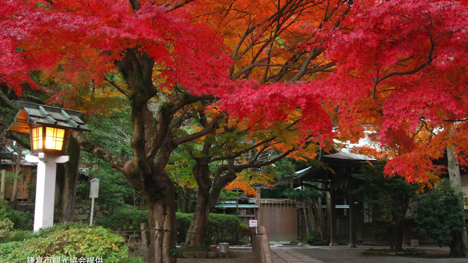 TRE CASA HOTEL KAMAKURA