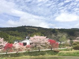 ＭＩＺＵＫＡＭＩＳＯ