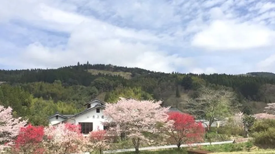 Mizukamiso