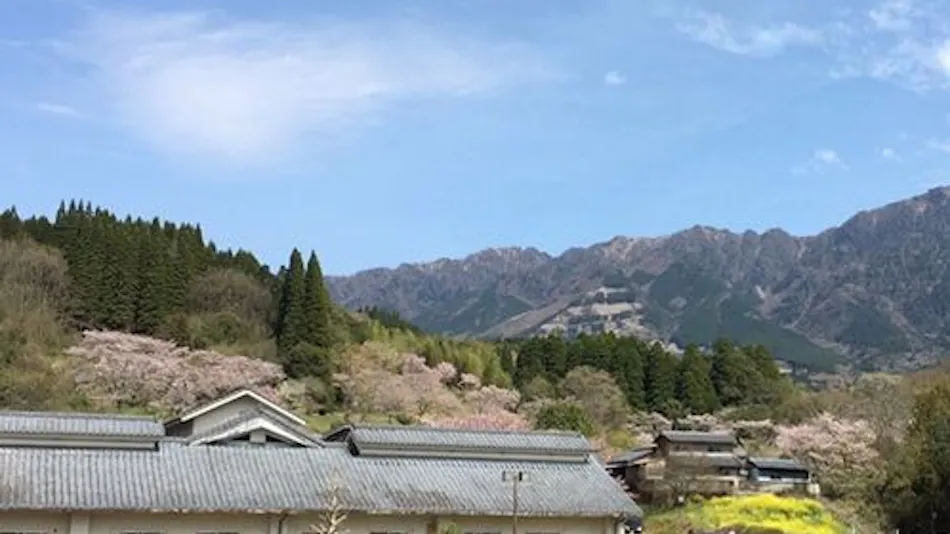 Mizukamiso