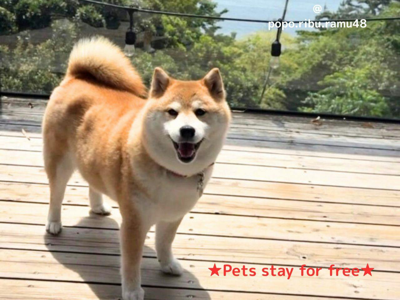 Izu Inatori Terrace - Kando -