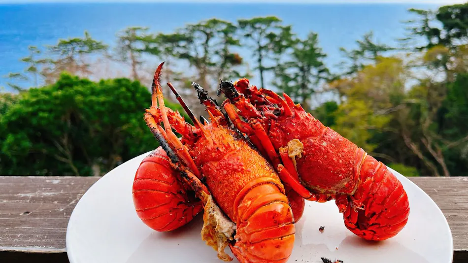 Izu Inatori Terrace - Kando -