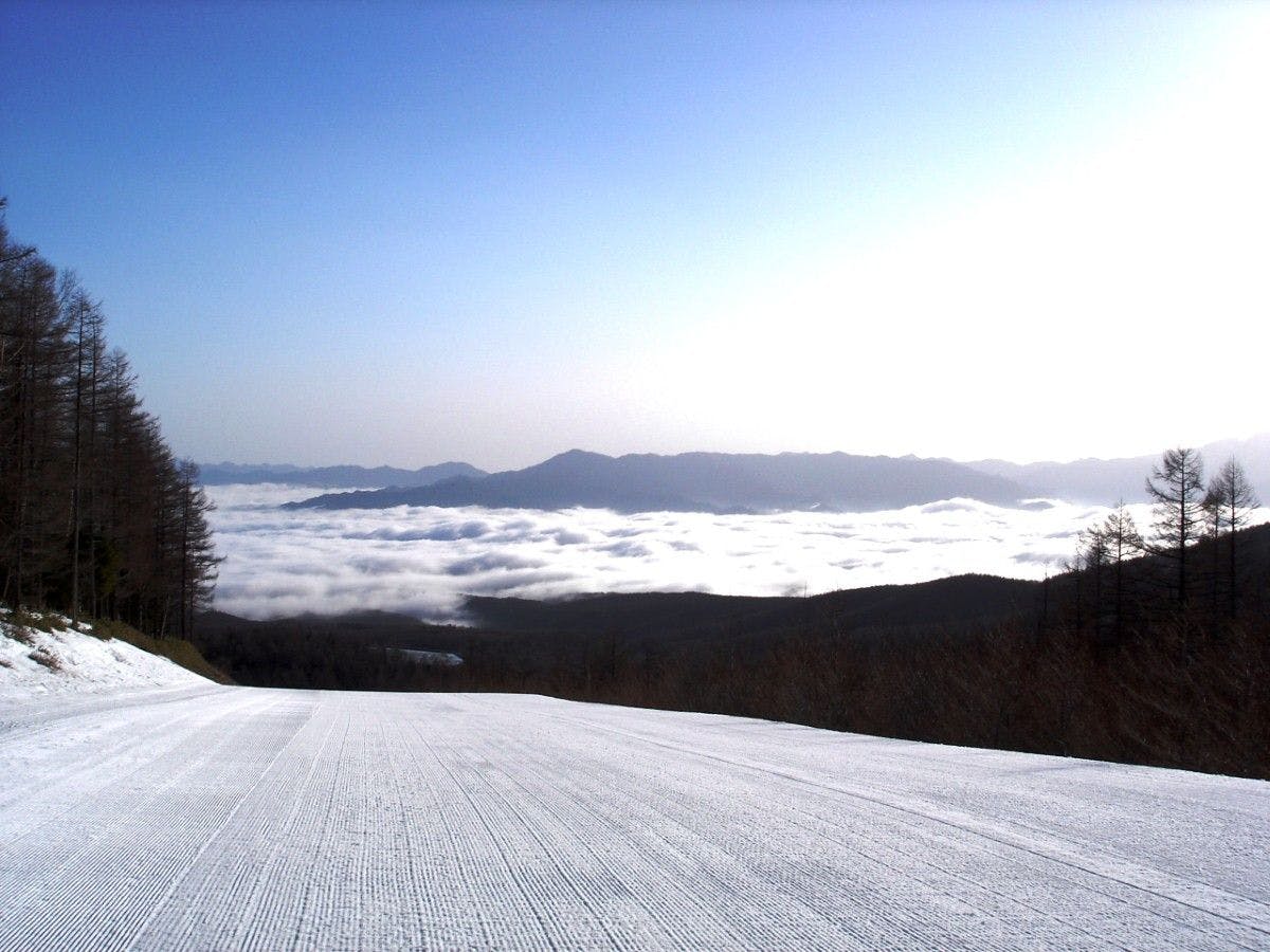 야치호 고원 스키장♪