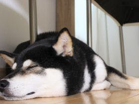 一軒宿さめうら