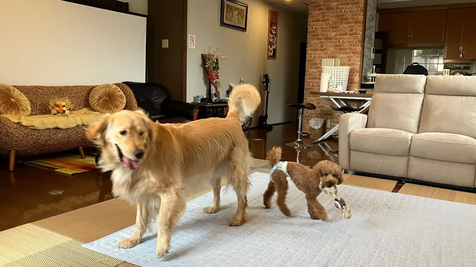 Residence Ferie Nara Station Front