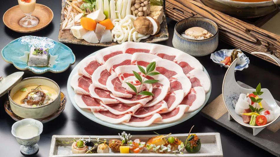 Tamba Sasayama Kinmata