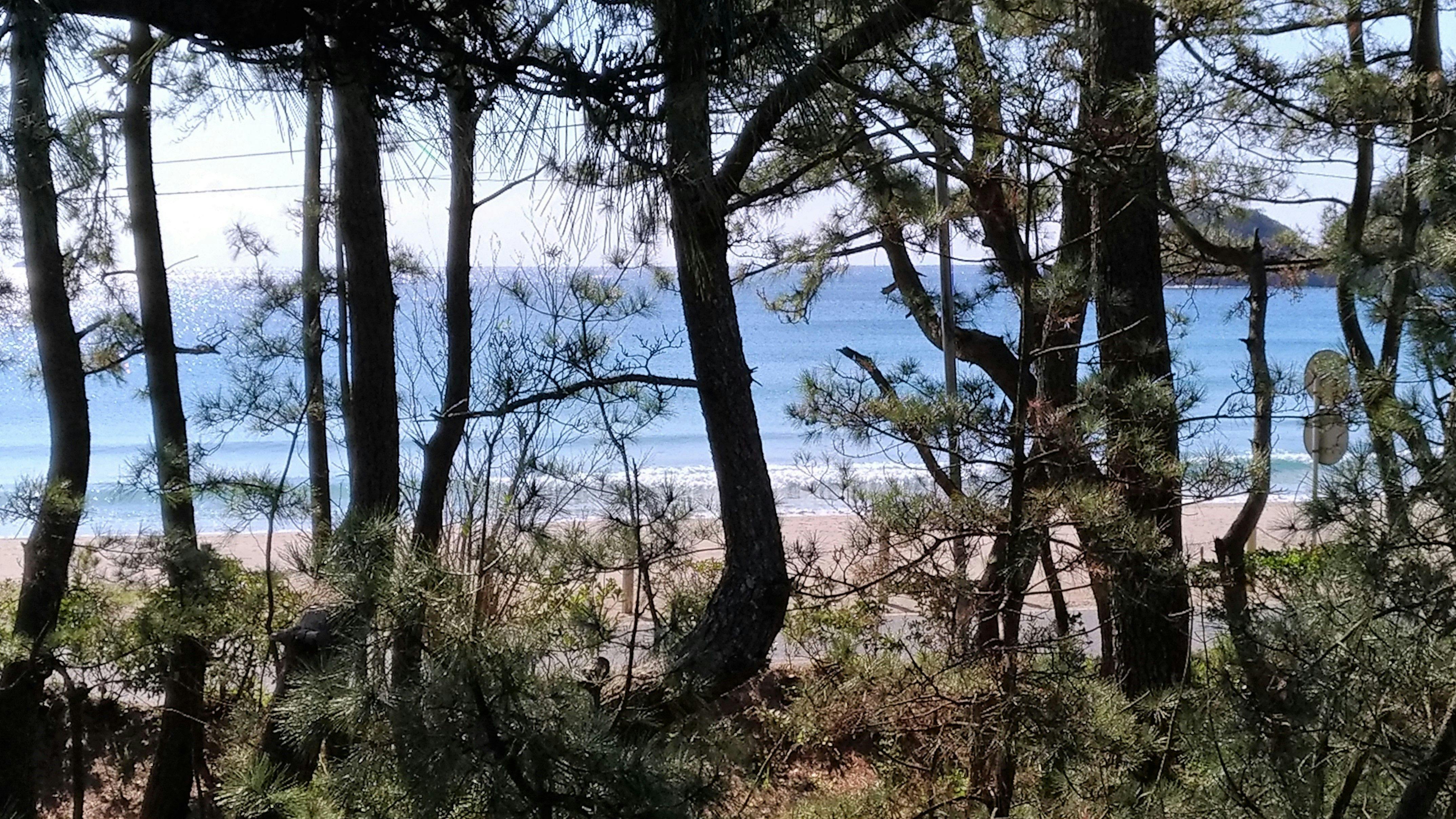 2021『เดือน』จากระเบียง