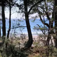 2021『เดือน』จากระเบียง