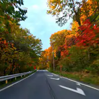 ทัศนียภาพโดยรอบ