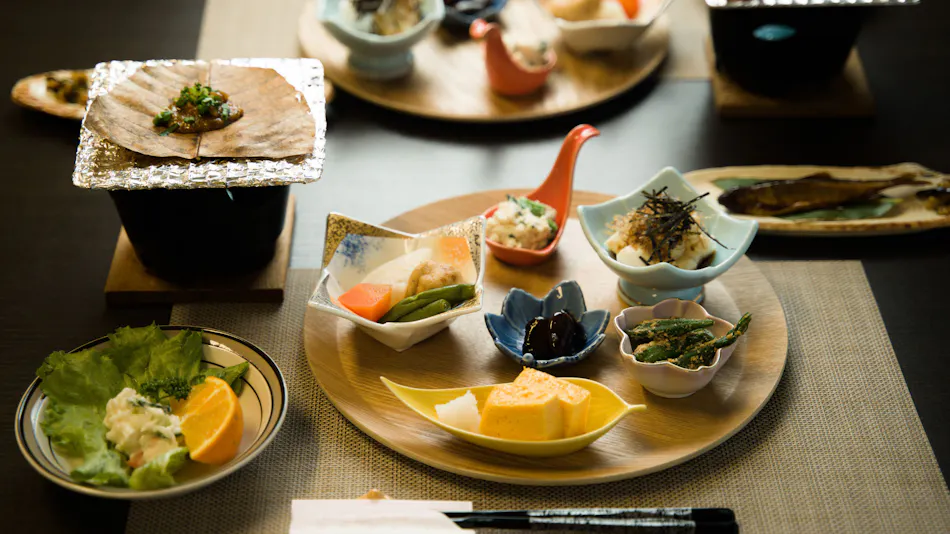 Onsen Ryokan KODAMA