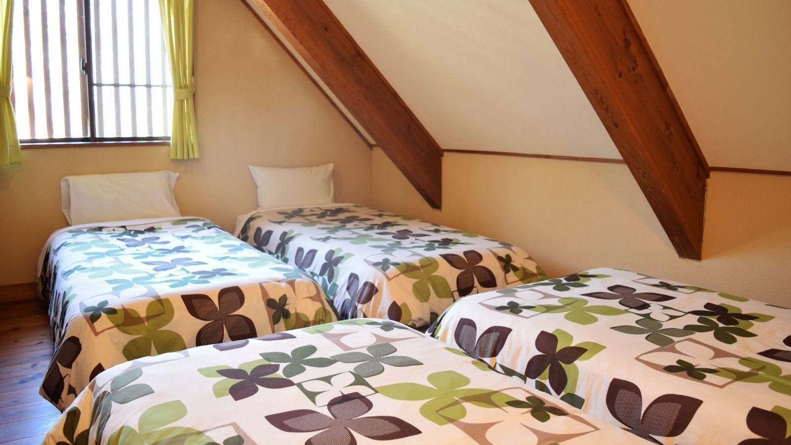 PICA Yamanakako