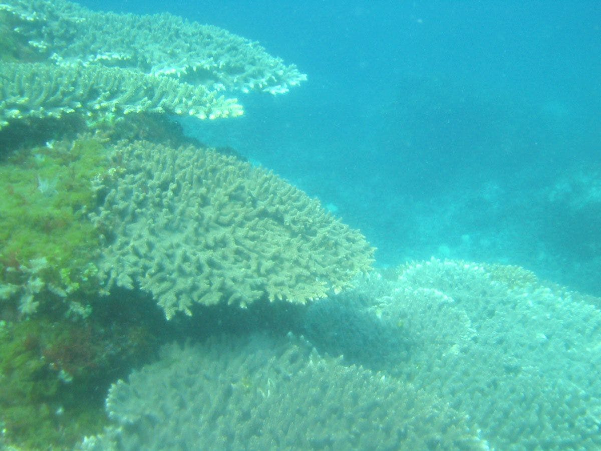 ทะเลของหมู่เกาะโกโตที่ยังคงความเป็นธรรมชาติที่ไม่ถูกแตะต้อง