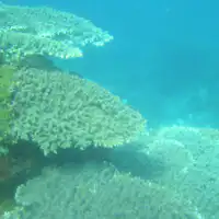 ทะเลของหมู่เกาะโกโตที่ยังคงความเป็นธรรมชาติที่ไม่ถูกแตะต้อง