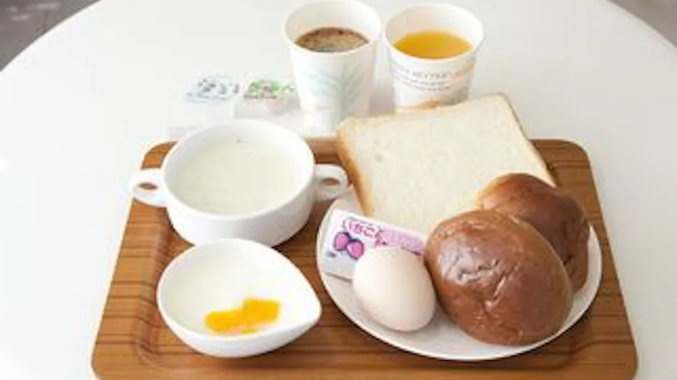 Business Hotel Toyota Village