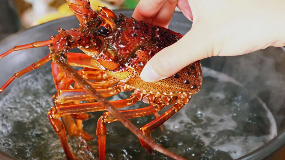 Kii no Matsushima, Inn of Seasonal Fresh Fish